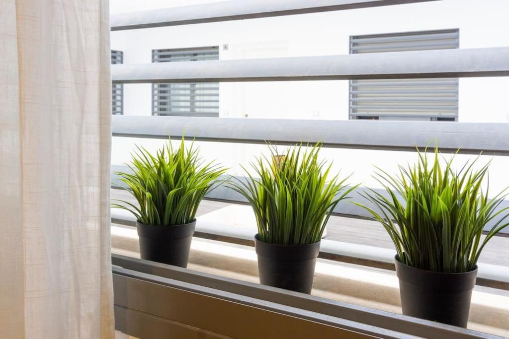 Twinsuites Malaga Ngoại thất bức ảnh